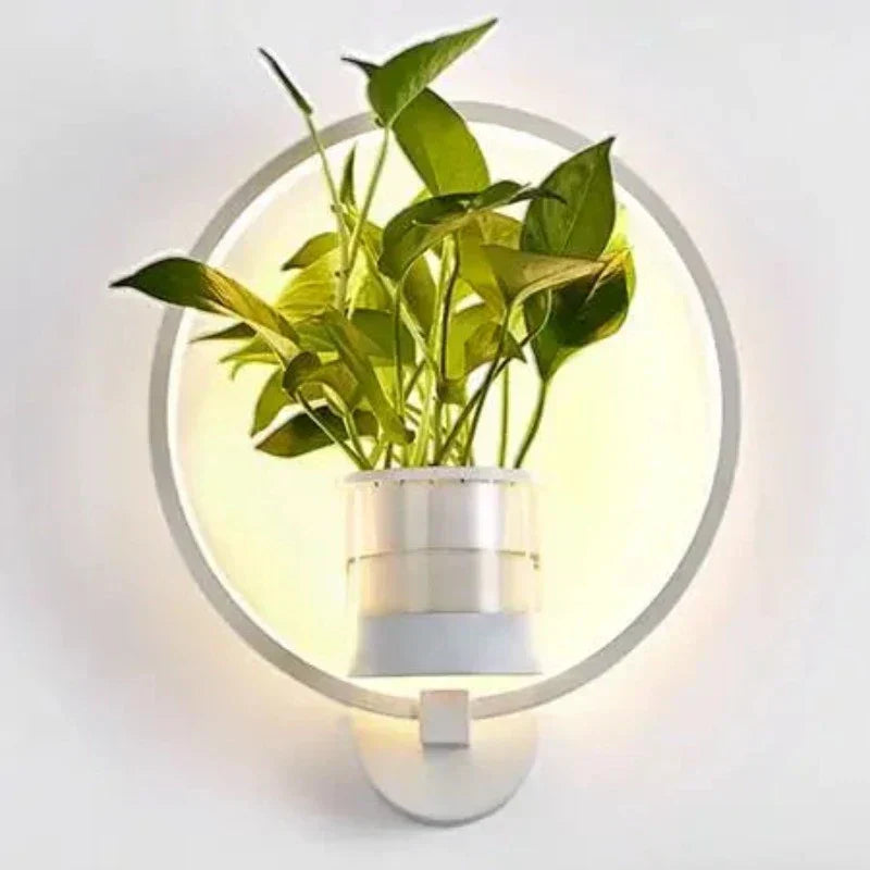 BowLift | Luminaire Sconce — Elegant Plant Wall Light for Indoor Greenery
