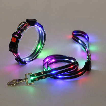 LED Dog Collar with Leash – NightBright Bowlift