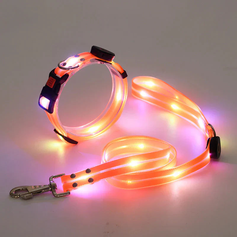 LED Dog Collar with Leash – NightBright Bowlift
