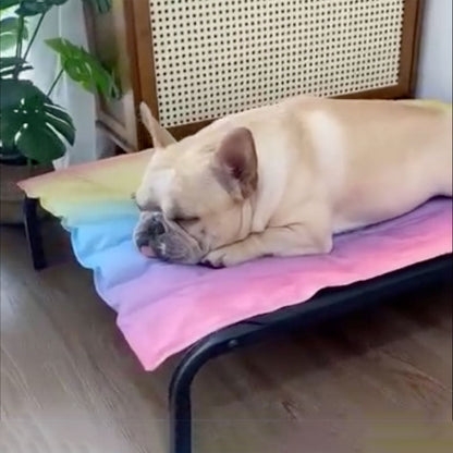 IcePup Frenchie Summer Cooling Mat with Advanced Ice Tech | Bowlift