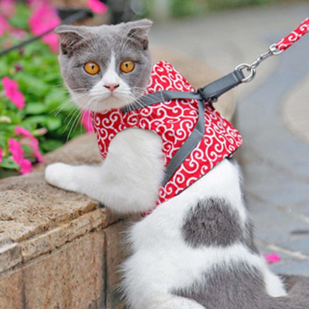 BowLift | Cat Harness Vest for Safety & Comfort