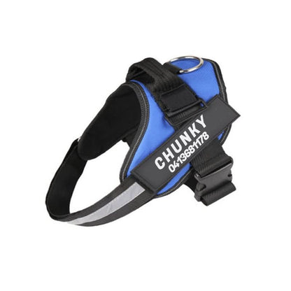 BowLift | Personalisable dog harness for comfort & safety