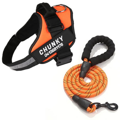 BowLift | Personalisable dog harness for comfort & safety