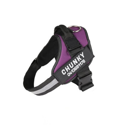 BowLift | Personalisable dog harness for comfort & safety