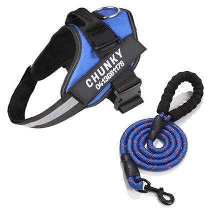 BowLift | Personalisable dog harness for comfort & safety