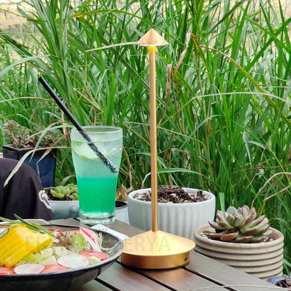 BowLift Rechargeable Table Lamp - Touch LED, Creative Dining Room Accent, Pina Pro, Ideal for Hotels, Bars & Desks, Decorative Desk Light