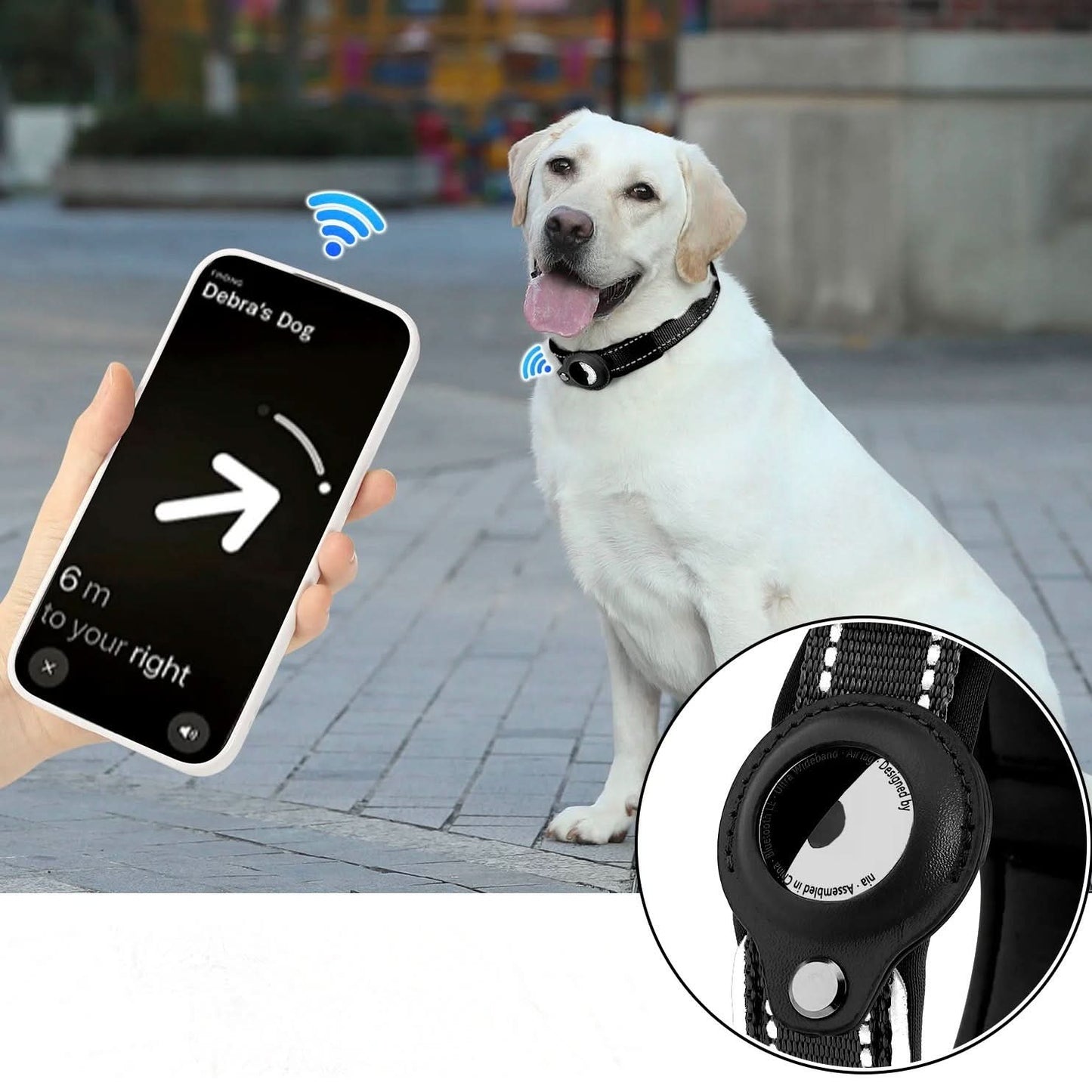 BowLift | LEAZO - AirTag Dog Collar
