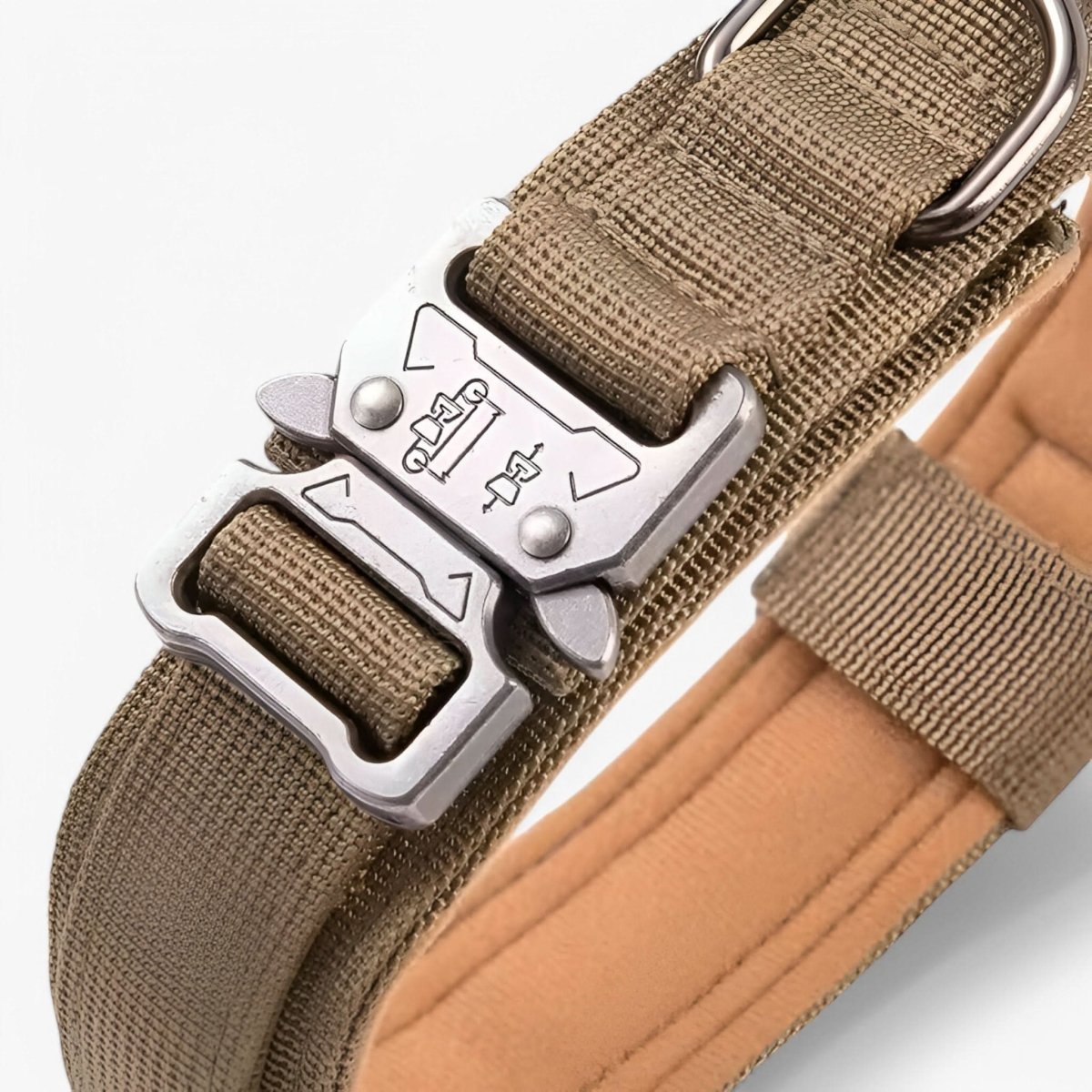 BowLift | Durable & Adjustable Collar for Training & Everyday Use