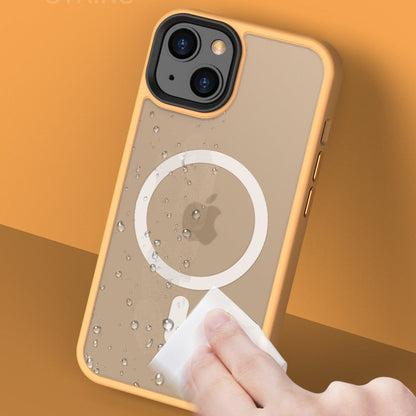 LZINA™ | Transparent Clarity Shield iPhone Case