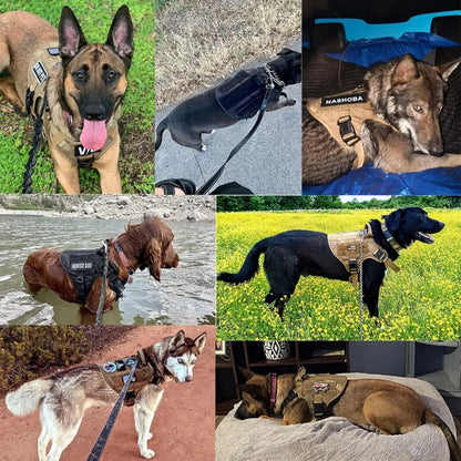 BowLift | KrachtGrip Dog Harness – Adjustable Tactical Harness for Training & Walks