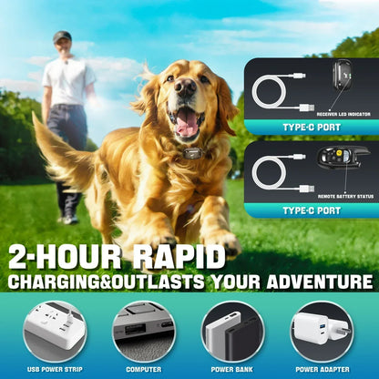 BowLift | Dog Training Collar with Remote – Shock Lock, Sound & Vibration Modes, Waterproof, 1600ft Range