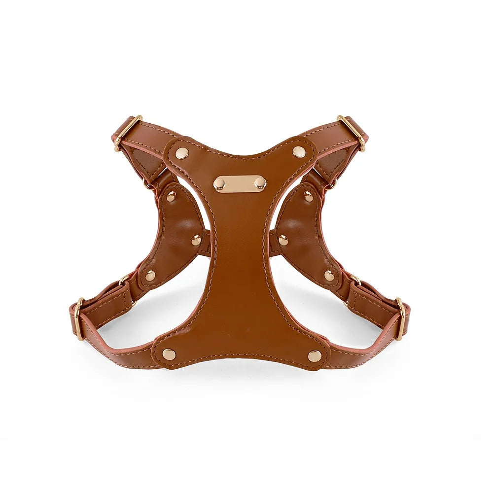 Adjustable Leather Dog Harness with Custom Engraving Bowlift