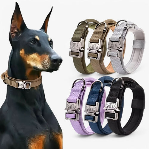 BowLift | Durable & Adjustable Collar for Training & Everyday Use