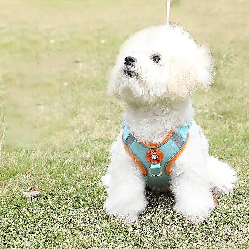 Breathable dog harness adjustable & comfortable Bowlift