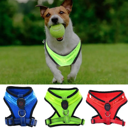 LED Dog Harness USB rechargeable & adjustable Bowlift
