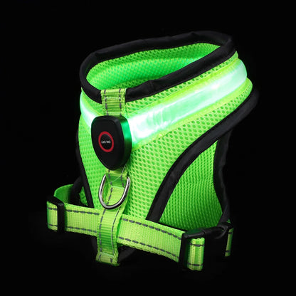 LED Dog Harness USB rechargeable & adjustable Bowlift