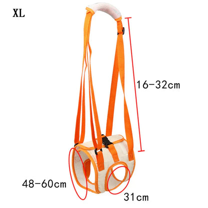 Ergonomic lifting harness for dogs hind legs Bowlift