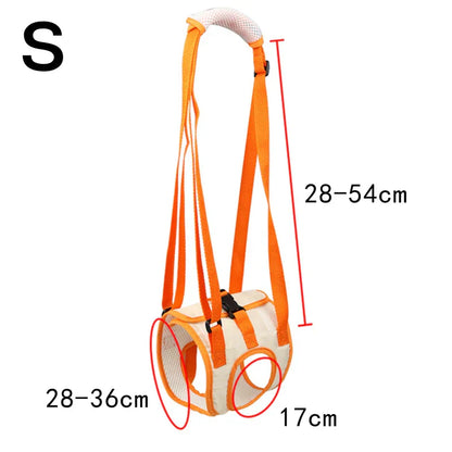 Ergonomic lifting harness for dogs hind legs Bowlift