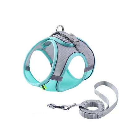 Adventurous Cat Harness with Leash – Adjustable and Reflective | Bowlift