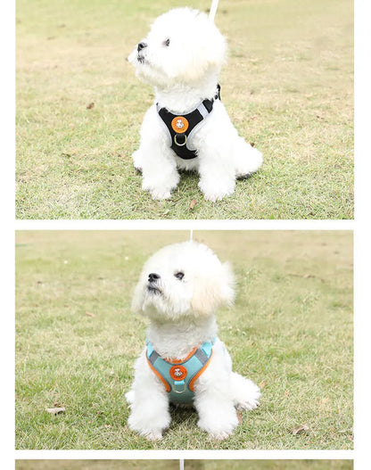 Breathable dog harness adjustable & comfortable Bowlift