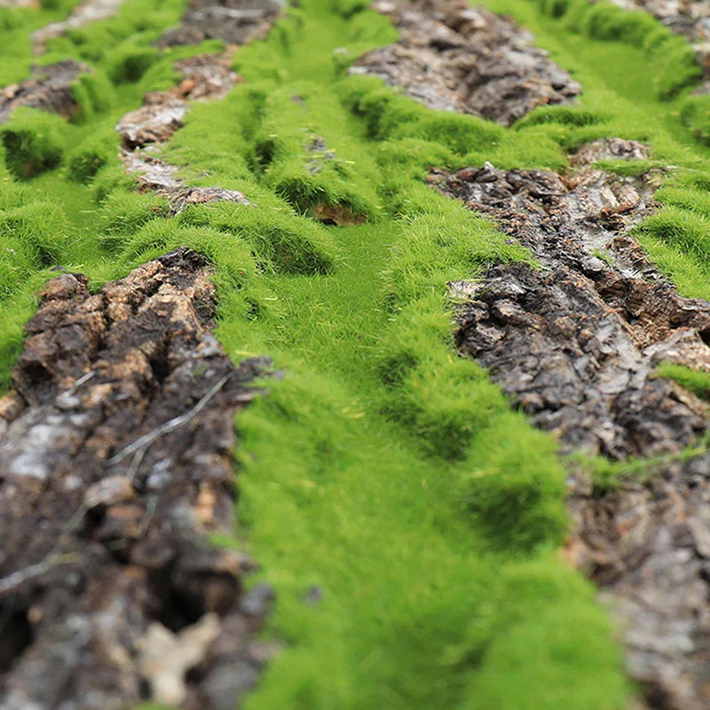LZINA™ | DIY Wall Decoration Green Plant Bark