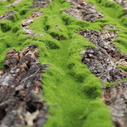 LZINA™ | DIY Wall Decoration Green Plant Bark