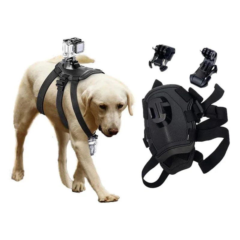 Action-Cam Dog Harness with 360° Perspective Bowlift