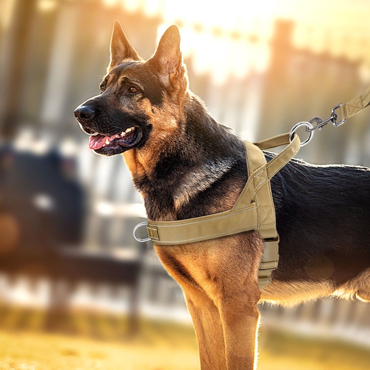 BowLift | Adjustable Reflective Dog Harness with Handle for All Dog Breeds