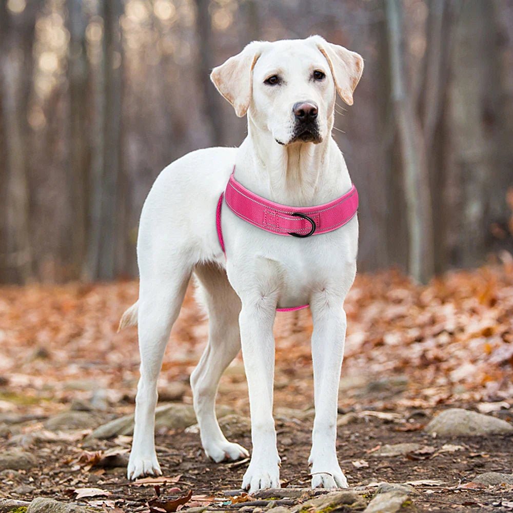 BowLift | Adjustable Reflective Dog Harness with Handle for All Dog Breeds