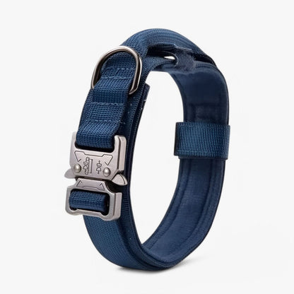 BowLift | Durable & Adjustable Collar for Training & Everyday Use