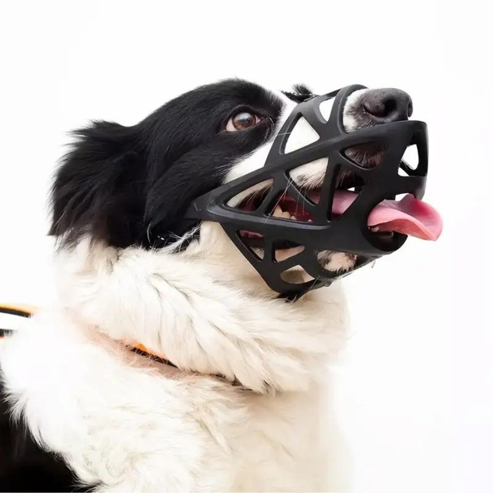 SafeBark Dog Muzzle – Effective Anti-Bite and Anti-Bark Solution, Breathable and Comfortable | Bowlift