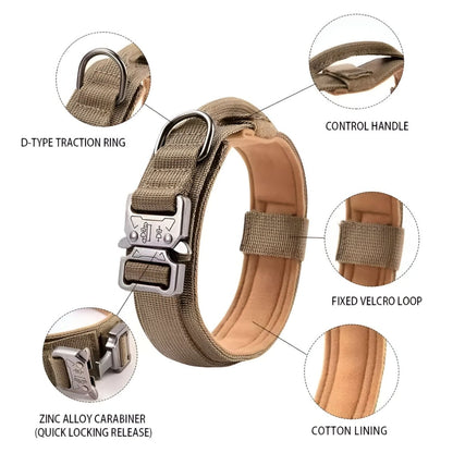 BowLift | Durable & Adjustable Collar for Training & Everyday Use