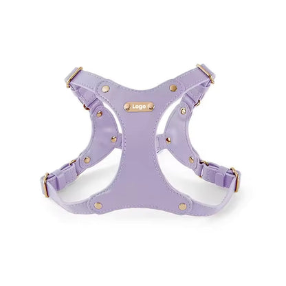 Adjustable Leather Dog Harness with Custom Engraving Bowlift