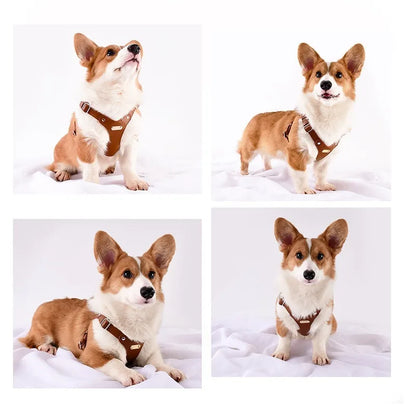 Adjustable Leather Dog Harness with Custom Engraving Bowlift
