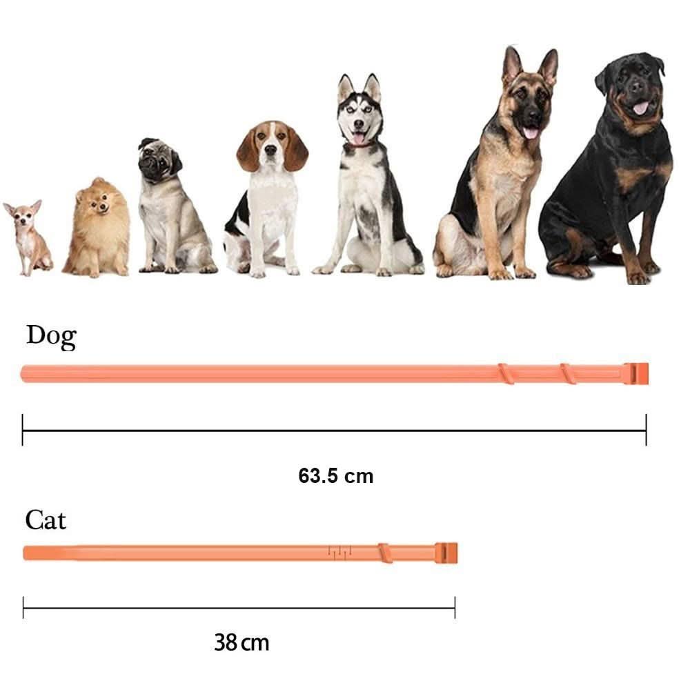 BowLift | Flea & Tick Protection Collar for Dogs & Cats