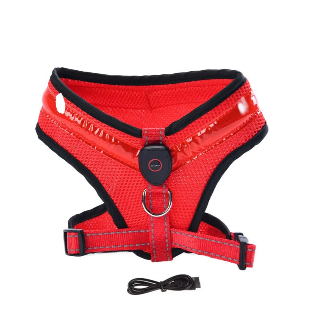 LED Dog Harness USB rechargeable & adjustable Bowlift