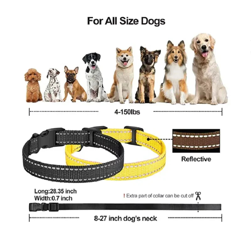 Rechargeable Electric Dog Training Collar with Remote & 1000m Range – PetControl Bowlift