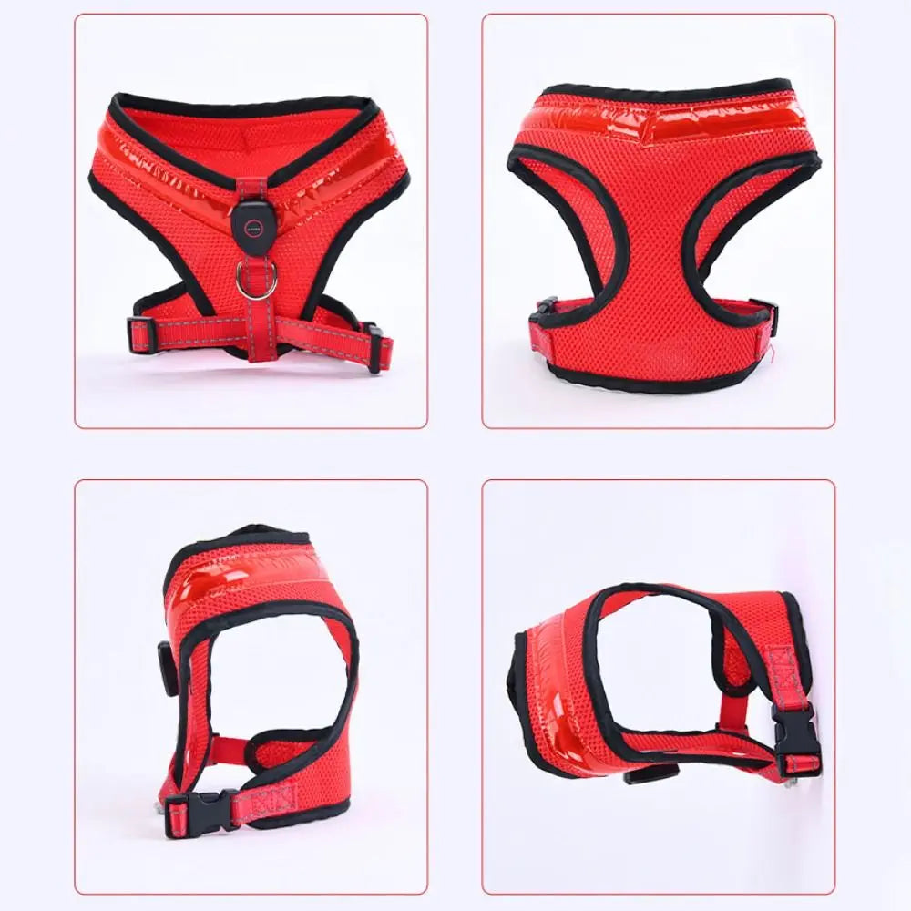 LED Dog Harness USB rechargeable & adjustable Bowlift