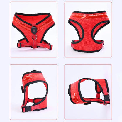 LED Dog Harness USB rechargeable & adjustable Bowlift