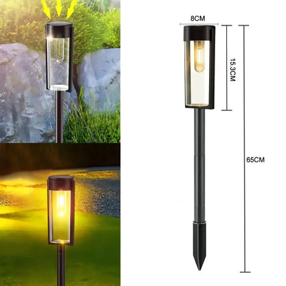 LZINA™ | EcoShine (2 pieces)