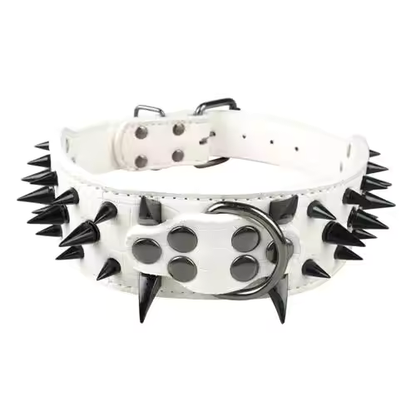 Dog collar with studs for large dogs Bowlift