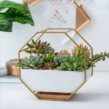 LZINA™ | Simple octagonal geometric wall-mounted table succulent plate bamboo support iron frame flower pot (Gold)