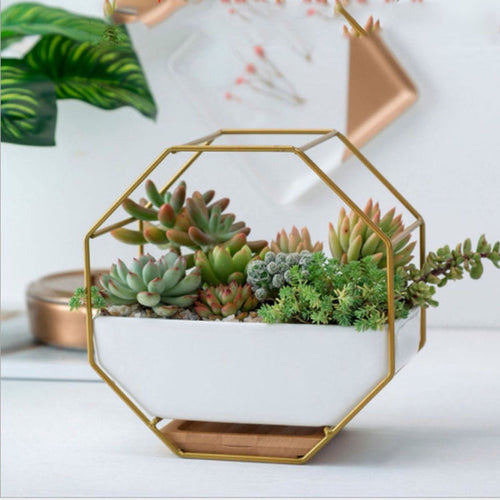 LZINA™ | Simple octagonal geometric wall-mounted table succulent plate bamboo support iron frame flower pot (Gold)