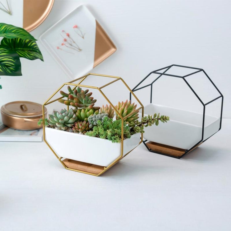LZINA™ | Simple octagonal geometric wall-mounted table succulent plate bamboo support iron frame flower pot (Gold)
