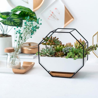 LZINA™ | Simple octagonal geometric wall-mounted table succulent plate bamboo support iron frame flower pot (Gold)