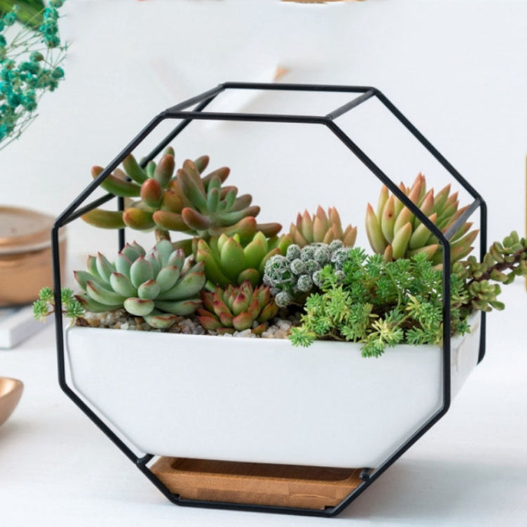 LZINA™ | Simple octagonal geometric wall hanging table succulent plate bamboo support iron frame flower pot (black)