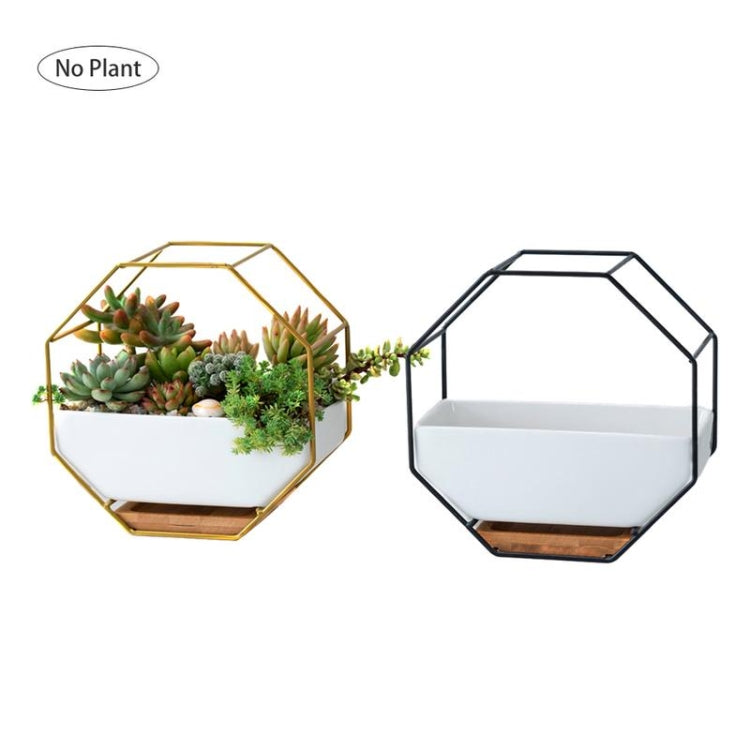 LZINA™ | Simple octagonal geometric wall hanging table succulent plate bamboo support iron frame flower pot (black)