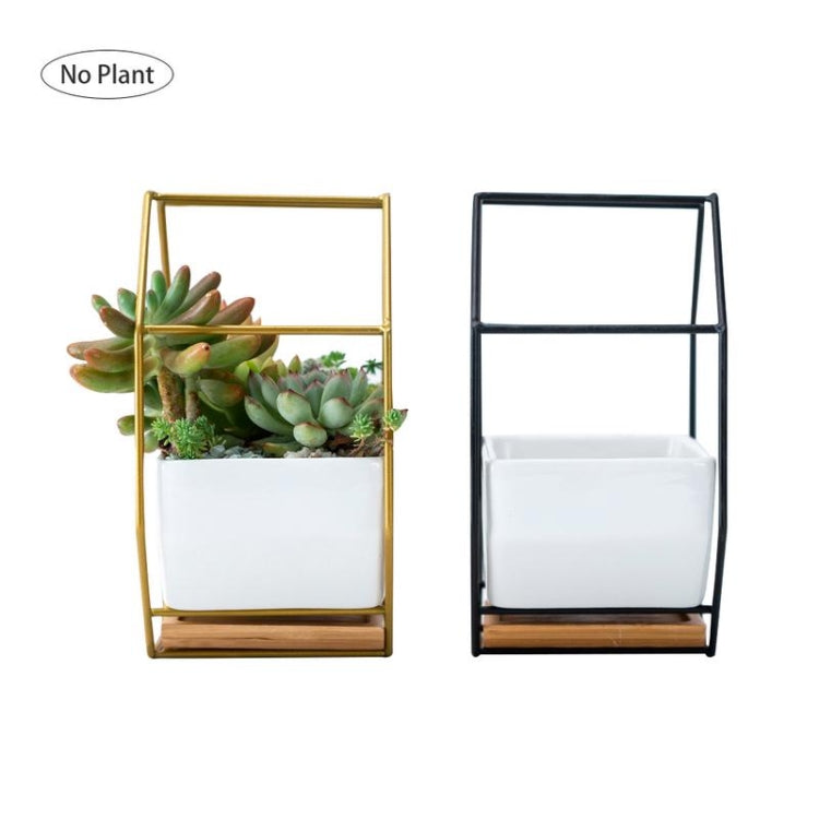 LZINA™ | Simple octagonal geometric wall hanging table succulent plate bamboo support iron frame flower pot (black)