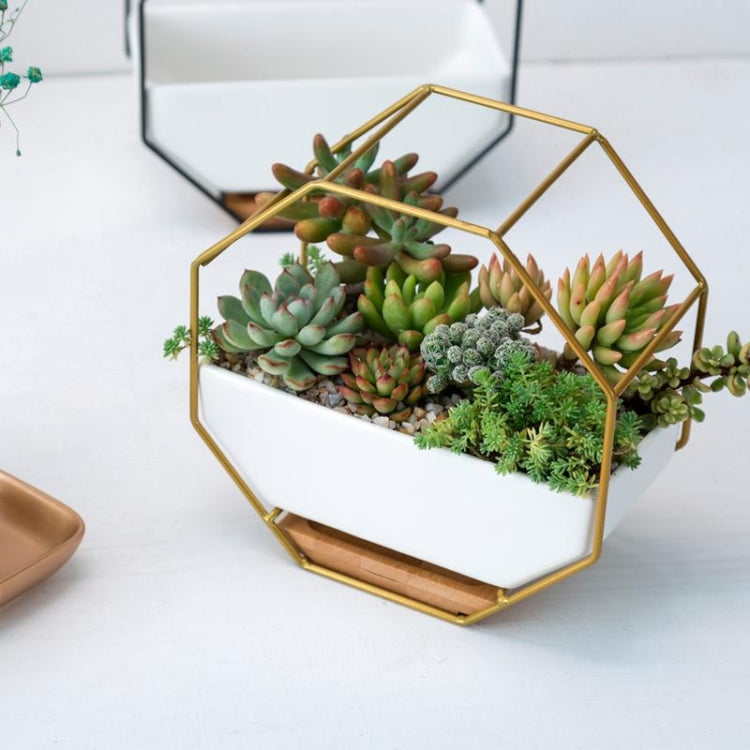 LZINA™ | Simple octagonal geometric wall hanging table succulent plate bamboo support iron frame flower pot (black)