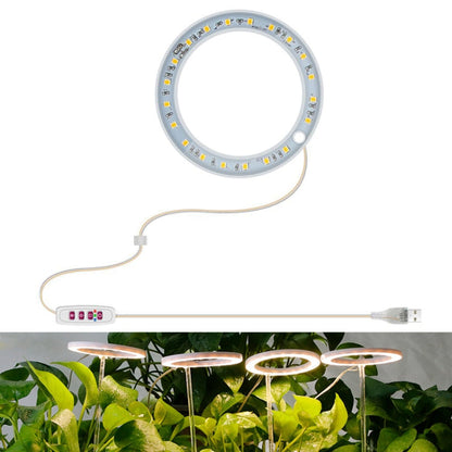BowLift LED Full-Spectrum Grow Light with Smart Timer — Ring-Style Indoor Plant Lamp, Single-Head (Sunshine)